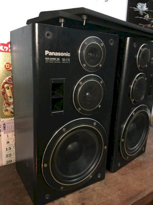 Loa Panasonic SB-D5