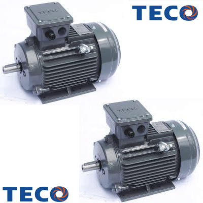 Động cơ điện TECO AESV-4P-15HP