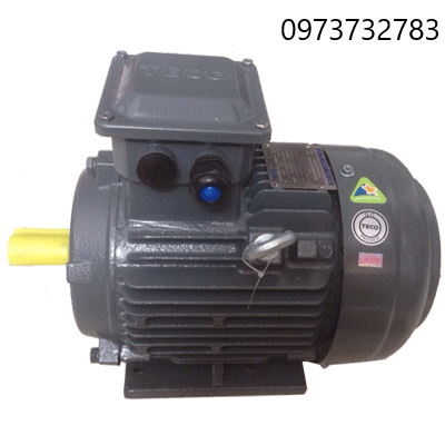 MOTOR TECO CHÂN ĐẾ AESV-4P-30HP