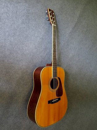 Guitar Acoustic Morris MD-528
