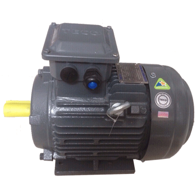 Motor chân đế Teco AESV-4P-1/4HP