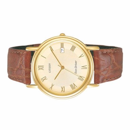 Đồng hồ nam dây da Citizen Eco-Drive Full Gold DH CTZ01