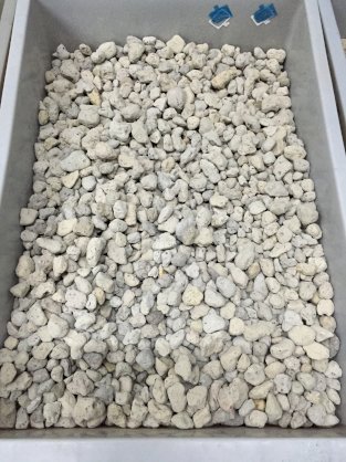 Đá bọt núi lửa Pumice Stone