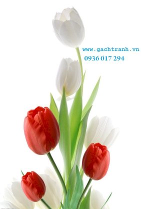 Tranh gạch hoa tulip đứng