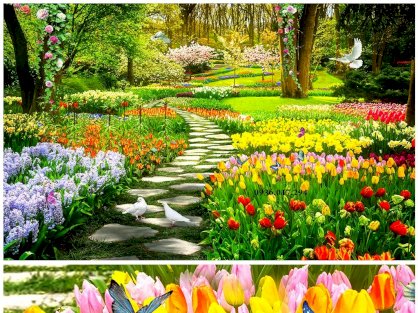 Tranh gạch 5D vườn hoa tulip