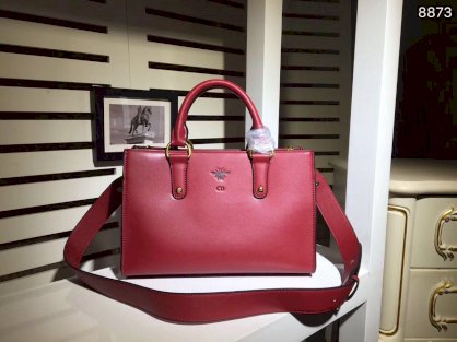 Túi xách Dior hàng hiệu của Pháp năm 2017 MS 8873 -1