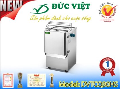 Máy thái rau củ quả Đức Việt DVTCQ40HS