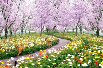 Tranh gạch phong cảnh vườn hoa mùa xuân