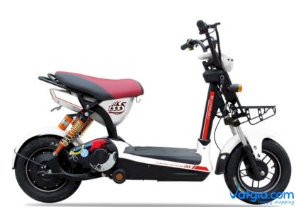 Xe đạp điện Ecobike 133 (Trắng)