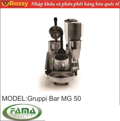 Máy xay sinh tố Fama MG 50