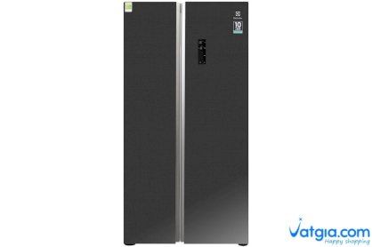 Tủ lạnh Electrolux Inverter 587 lít ESE6201BG-VN