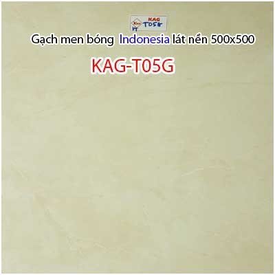 Gạch ceramic lát nền 50x50cm KAG-T05G