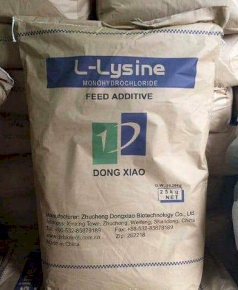 L - Lysine 98.5% Dongxiao Trung Quốc