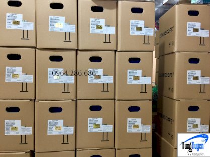 Cáp mạng AMP Cat6 UTP chính hãng PN 1427254-6 commscope