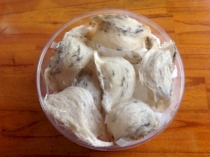 Yến sào khánh hòa - tổ yến thô 100gr