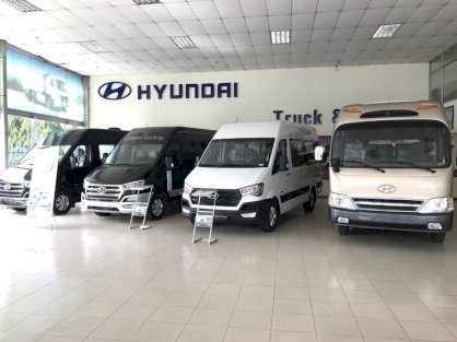 Hyundai Solati 2019