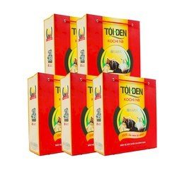 Combo 5 túi Tỏi đen Kochi nhiều nhánh 180g