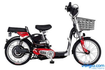 Xe đạp điện Asama EBK RY2001 (Đen)