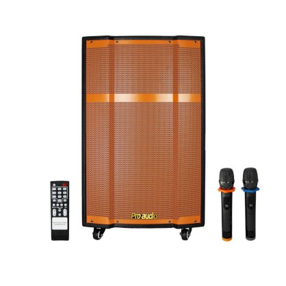 Loa kéo Proaudio  616