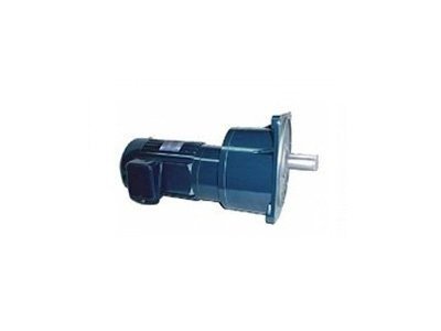 Motor giảm tốc tải trung Dolin - DLSV 1/8 HP (0.1KW)