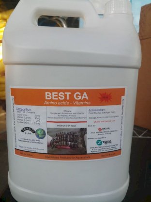 Best Ga: Bổ gan thảo dược dạng nước