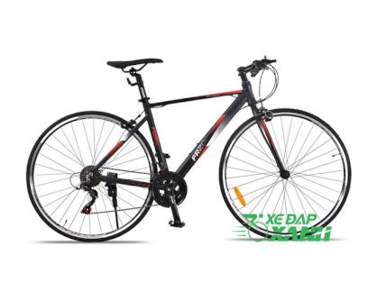 Xe đạp Fornix FR200 2019