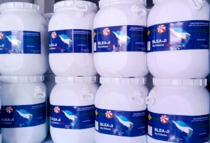 Chất xử lý nước Chlorin Cá Heo Blea-Ji nhập khẩu Trung Quốc