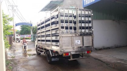xe tải Isuzu qkr77he4 thùng chở gia cầm 2 tấn