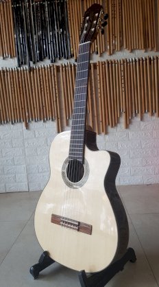 Guitar classic HD500