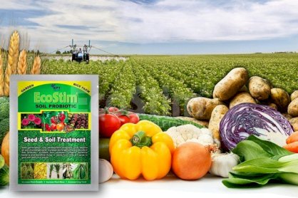 Phân bón vi sinh/ phân hữu cơ cho cây trồng Ecostim