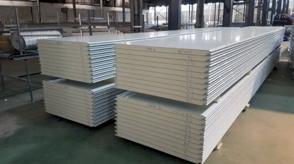 Tấm panel kho lạnh Thành Đạt TD01