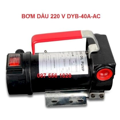 Bơm dầu Trung Quốc DYB-40A 12-24V