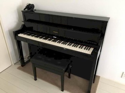 Đàn Piano Roland LX17