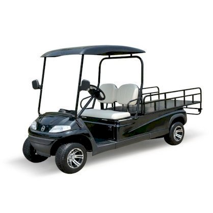 Xe Golf điện chở hàng Model LT-A627.2.H8 - Phúc Thành