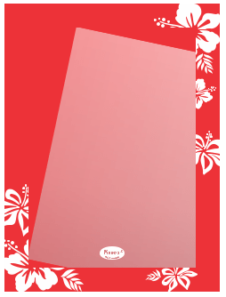 Gương nhà tắm khung hoa văn sơn màu Pioneer 45x60cm - PE120A
