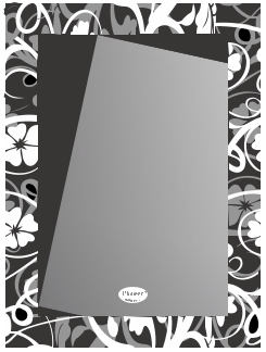 Gương nhà tắm khung hoa văn sơn màu Pioneer 45x60cm - PE133A