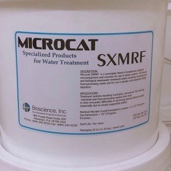 MICROCAT‑SXMR vi sinh Mỹ