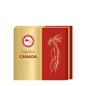 Sâm khô Canada BigSize(18-24g) Hộp 100g