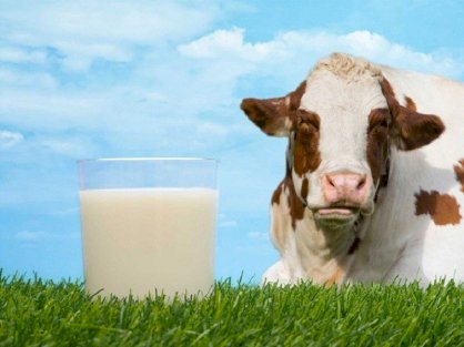 Sữa Australia Own Skim Milk – Sữa tươi không béo, dung tích hộp 1 lít