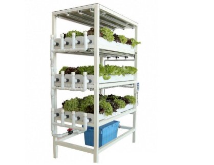 Hệ thống trồng rau thủy canh mini cho hộ gia đình HG14