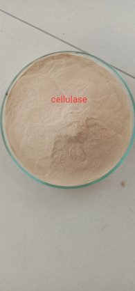 NGUYÊN LIỆU enzyme Cellulase 5.000 Ui/g