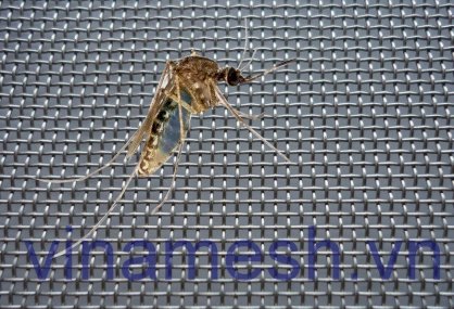 Lưới inox chống côn trùng VINAMESH