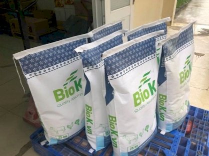 Vi sinh cắt tảo Biok: giúp cắt tảo hiệu quả, hạn chế tảo tái phát