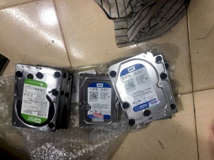 Ổ cứng HDD WD 3T