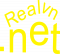 Realvn_Net