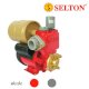 Máy bơm nước SELTON 150AE - Ảnh 1