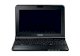 Toshiba NB300 (PLL3EL-001010) (Intel Atom N450 1.66GHz, 1GB RAM, 250GB HDD, VGA Intel GMA 3150, 10.1 inch, Windows 7 Starter) - Ảnh 1