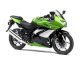 Kawasaki Ninja 250R 2009 - Ảnh 1