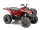 Yamaha Grizzly 300 2012 - Ảnh 1