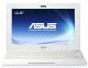 Asus Eee PC Flare 1025C White (Intel Atom N2600 1.6GHz, 1GB RAM, 320GB HDD, VGA Intel UMA, 10.1 inch, Windows 7 Starter) - Ảnh 1